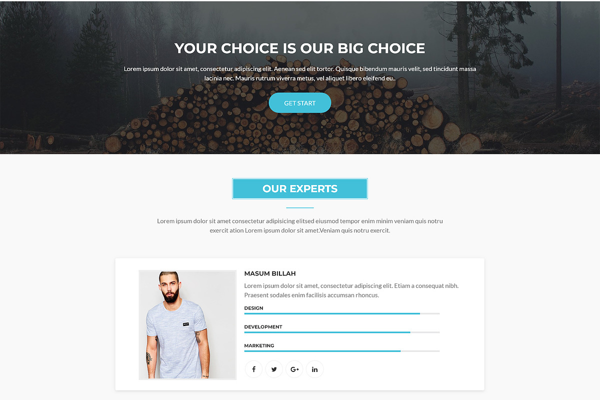Accede - Agency WordPress Theme, a WordPress Template by Themesvila (Photo 6 of 7)