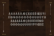 Mirnean Display Typeface Font, a Sans Serif Font by Storytype Studio (Thumbnail 14 of 15)