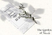 Pencil-drawn flowers, a Decorative Illustration by Damian Roh (Thumbnail 3 of 21)