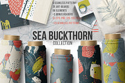Sea buckthorn vector collection, a Pattern Graphic by Kate Art (Thumbnail 1 of 25)
