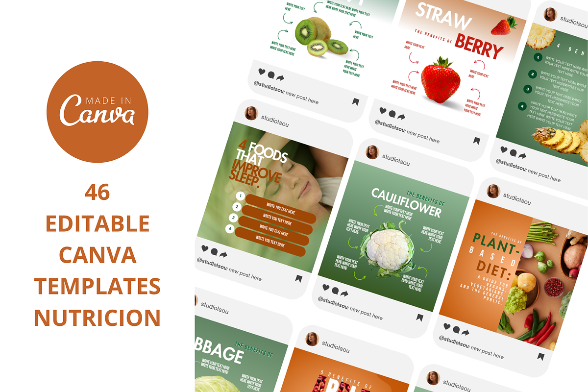 Canva Templates Nutricion Instragram, an App Template by StudioLsou Art