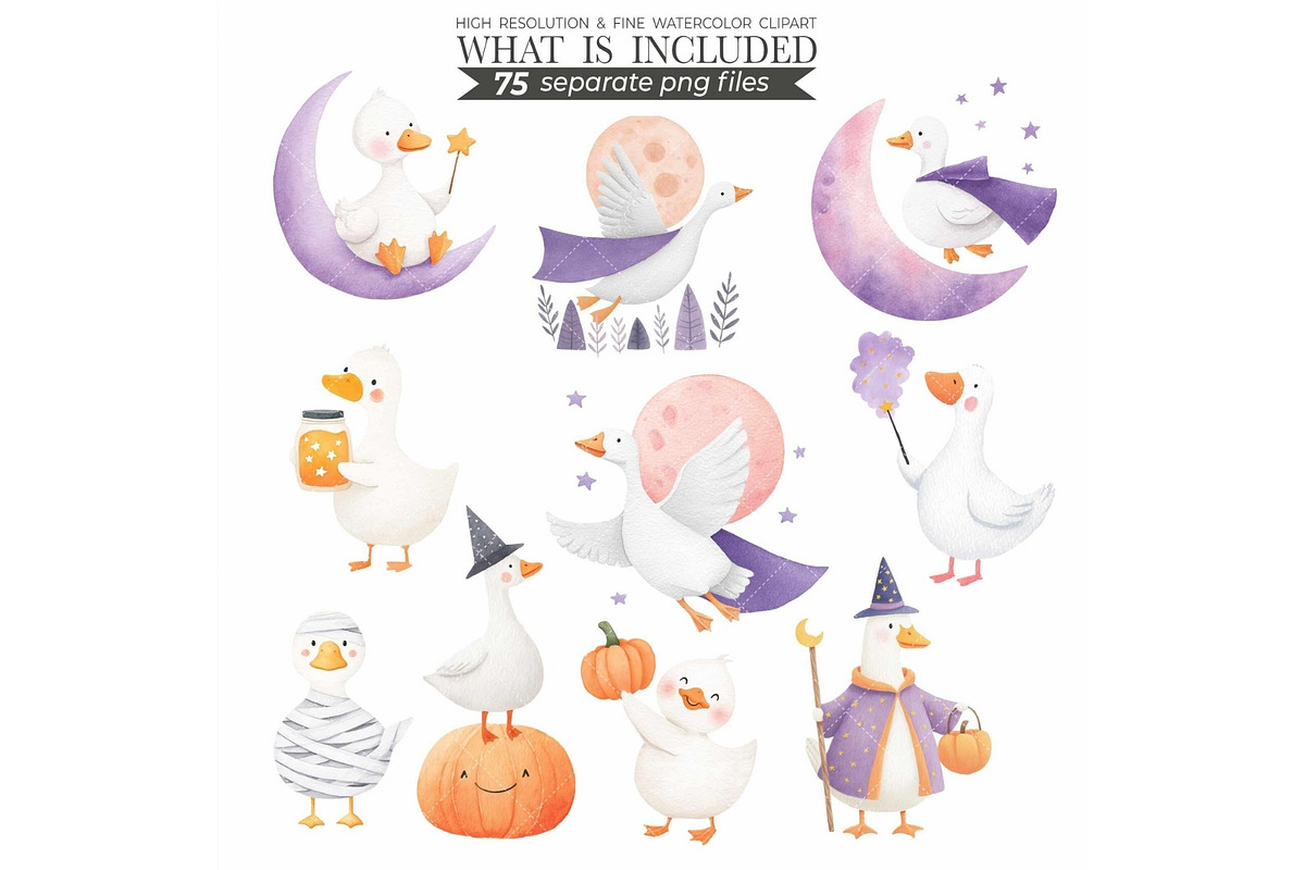 Witchy Goose Halloween Clipart Set, an Illustration by CharmClipart (Photo 6 of 9)