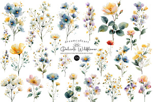 Watercolor Delicate Wildflower Clipa, an Illustration by DreamCafeArt