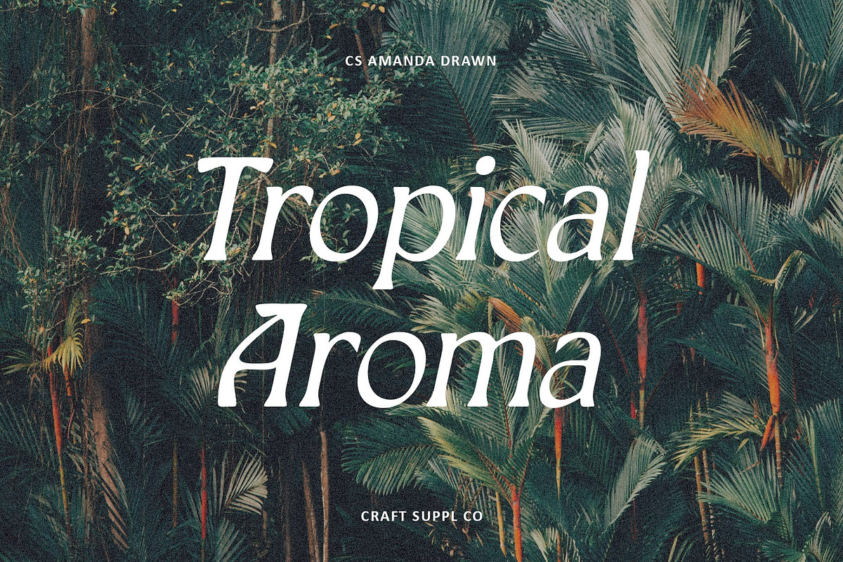 CS Amanda Drawn, a Serif Font by Craft Supply Co. (Photo 7 of 8)