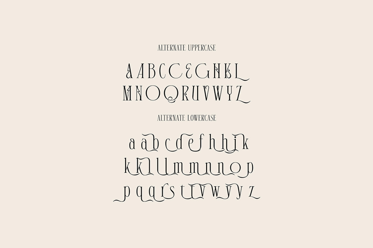 Alison Maskell Modern Serif, a Serif Font by Cruzine (Photo 6 of 8)