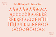 Basics Serif Font - 30% OFF, a Serif Font by Youthlabs Studio (Thumbnail 23 of 25)