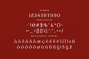 Winter Veil - Festive Typeface, a Serif Font by HipFonts (Thumbnail 9 of 11)