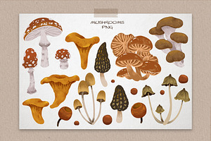 Magic Forest Mushroom Clipart