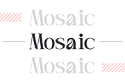 Rue Belle Editorial Serif Font, a Serif Font by Rasio Studio (Thumbnail 5 of 10)
