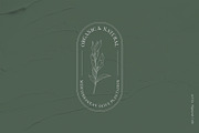 Olive Branches & Botanical Patterns, a Decorative Illustration by Pigment Café (Thumbnail 8 of 10)