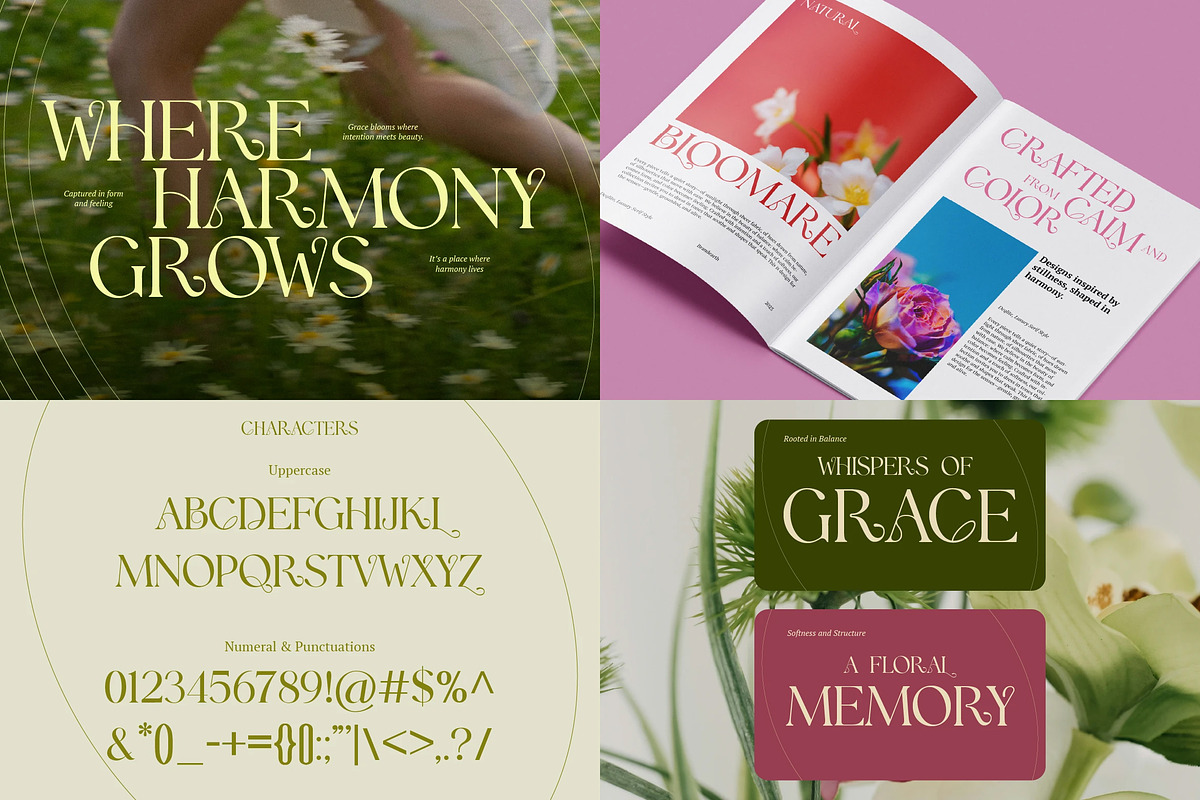 Stylish Serif - 6 Font Bundle, a Serif Font by Brand Earth (Photo 7 of 8)