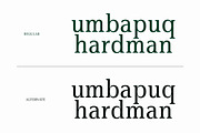 Gardmun Kinsley Modern Serif Font, a Serif Font by Letterena Studios (Thumbnail 4 of 15)