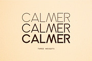 Calmer Font Family, a Serif Font by Aktab Studio (Thumbnail 2 of 11)