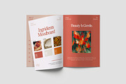 Project Product Look Book Template, a Brochure Template by TMint Play (Thumbnail 6 of 8)