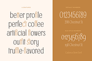 Cadence Demi-Serif Display Font, a Serif Font by Type and Graphics Studio (Thumbnail 25 of 28)