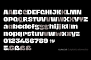 Hagrid 24 fonts + 4 variables, a Sans Serif Font by Zetafonts (Thumbnail 8 of 17)