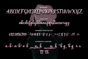 Agnetha, a Script Font by Uloel Design (Thumbnail 6 of 6)