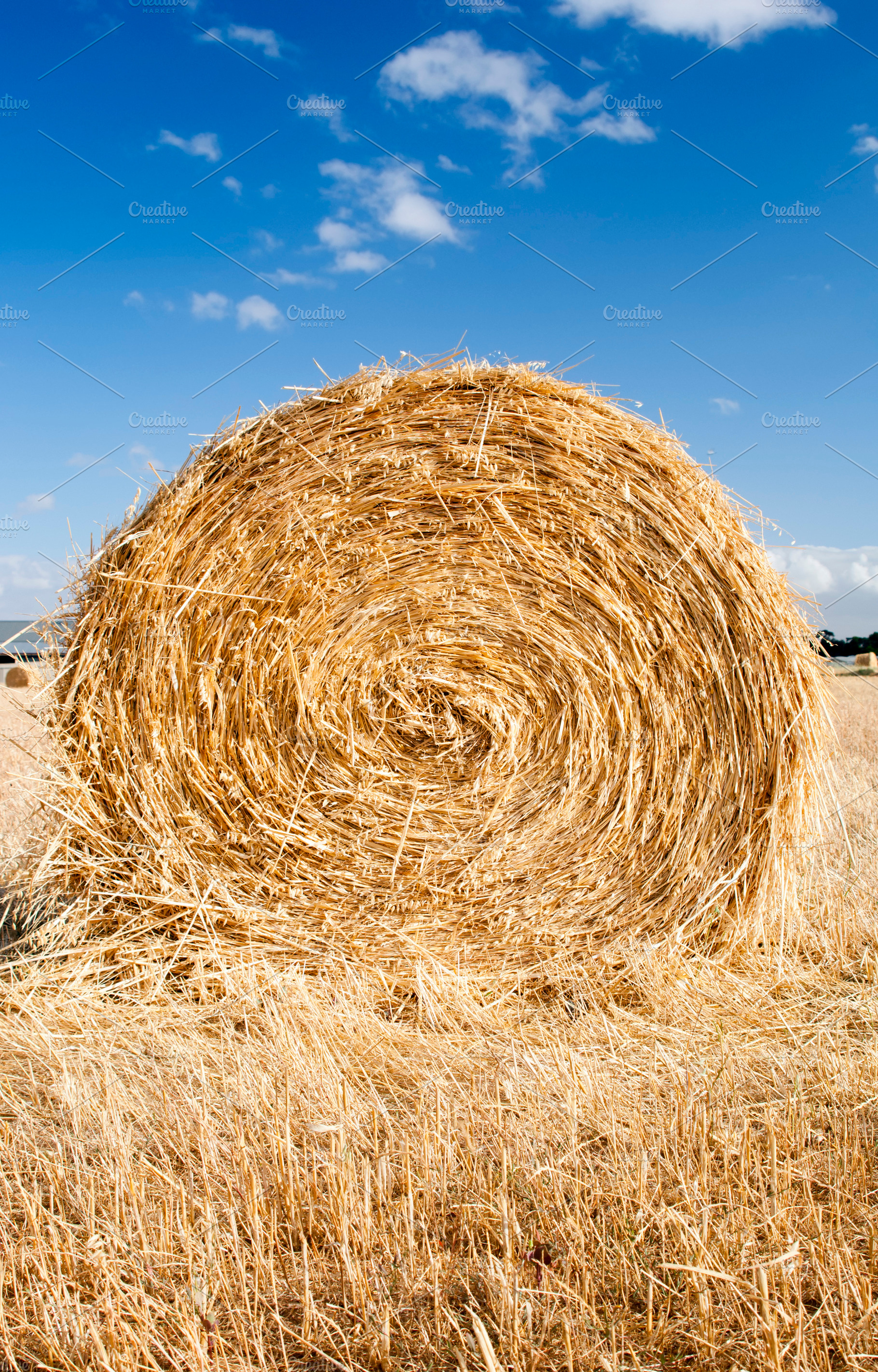 Hay Bales, a Nature Photo by THP Creative