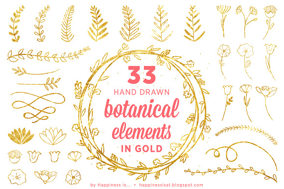 33 Gold Handdrawn Botanical Elements preview 2
