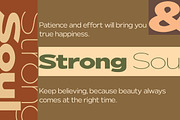 Nunito Flex Pro (54 Font), a Sans Serif Font by Positive TypeFoundry (Thumbnail 11 of 13)