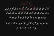 Mistletoe Magic, a Script Font by Letterara (Thumbnail 12 of 13)