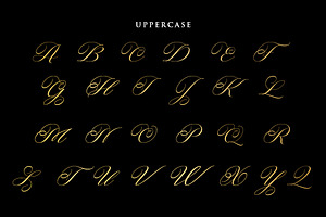 Rastering Elegant Calligraphy Font