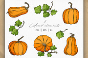 Autumn Pumpkins Hand Drawn Graphics, a Food Illustration by Olya Haifisch (Thumbnail 4 of 9)
