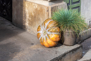 Autumn Display with Heirloom Pumpkin, a Holiday Photo by Imaginarium