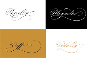 Rastering Elegant Calligraphy Font