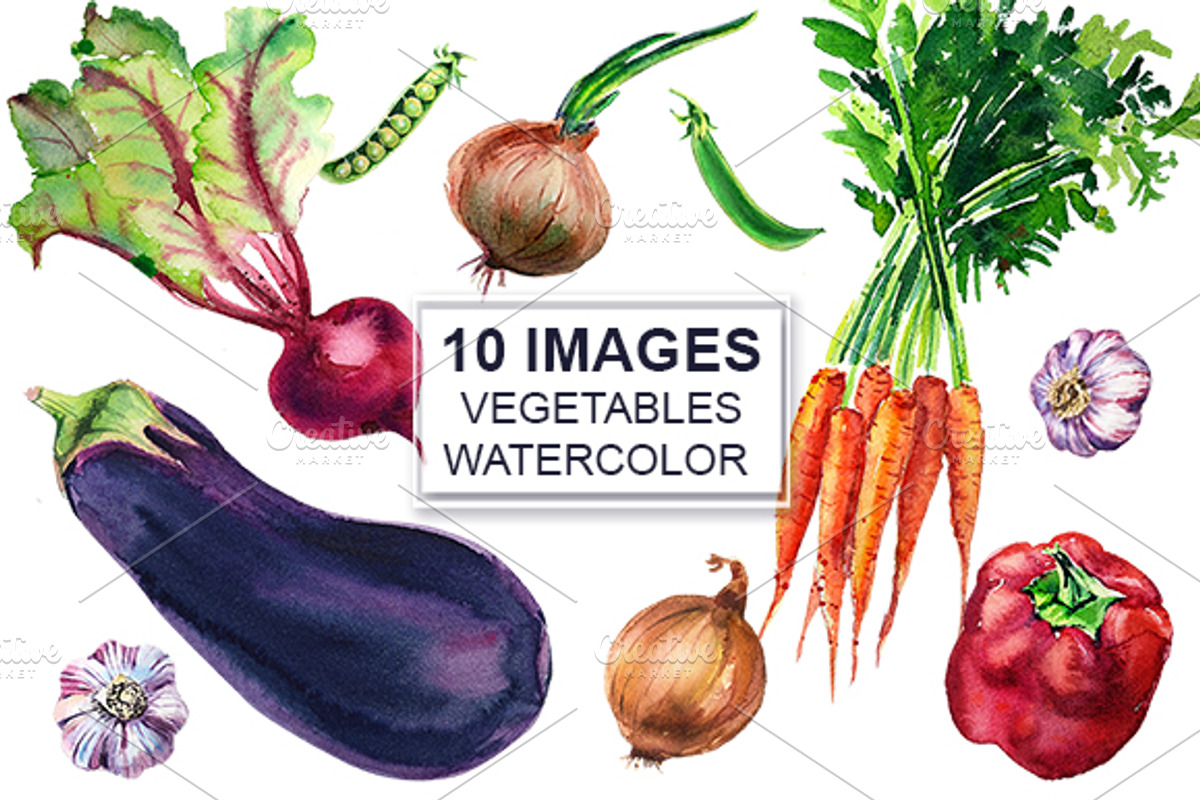 Watercolor Vegetables, an Illustration by lilisavelieva