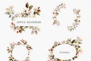 Watercolor Apple Blossom Bouquet, a Decorative Illustration by ThaismotaCreativeCo (Thumbnail 7 of 11)