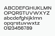 Selqova | Sans serif family, a Sans Serif Font by InkwellTypeCo (Thumbnail 18 of 18)