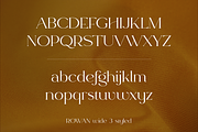 Rowan typeface - 116 styles & script, a Serif Font by VP Fonts (Thumbnail 6 of 18)
