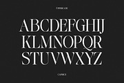 Lifestyle Icons | 8 Font Files, a Serif Font by Pista Mova (Thumbnail 16 of 21)
