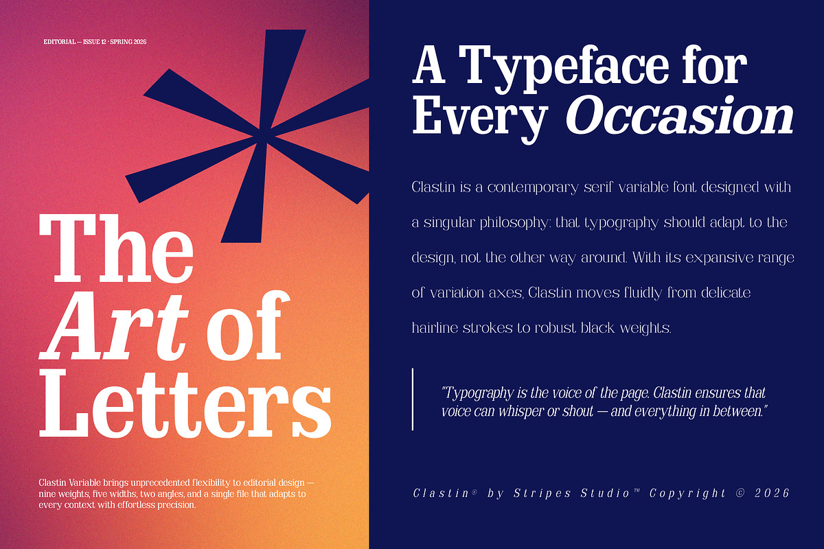 Clastin Variable, a Slab Serif Font by Stripes Studio (Photo 7 of 15)