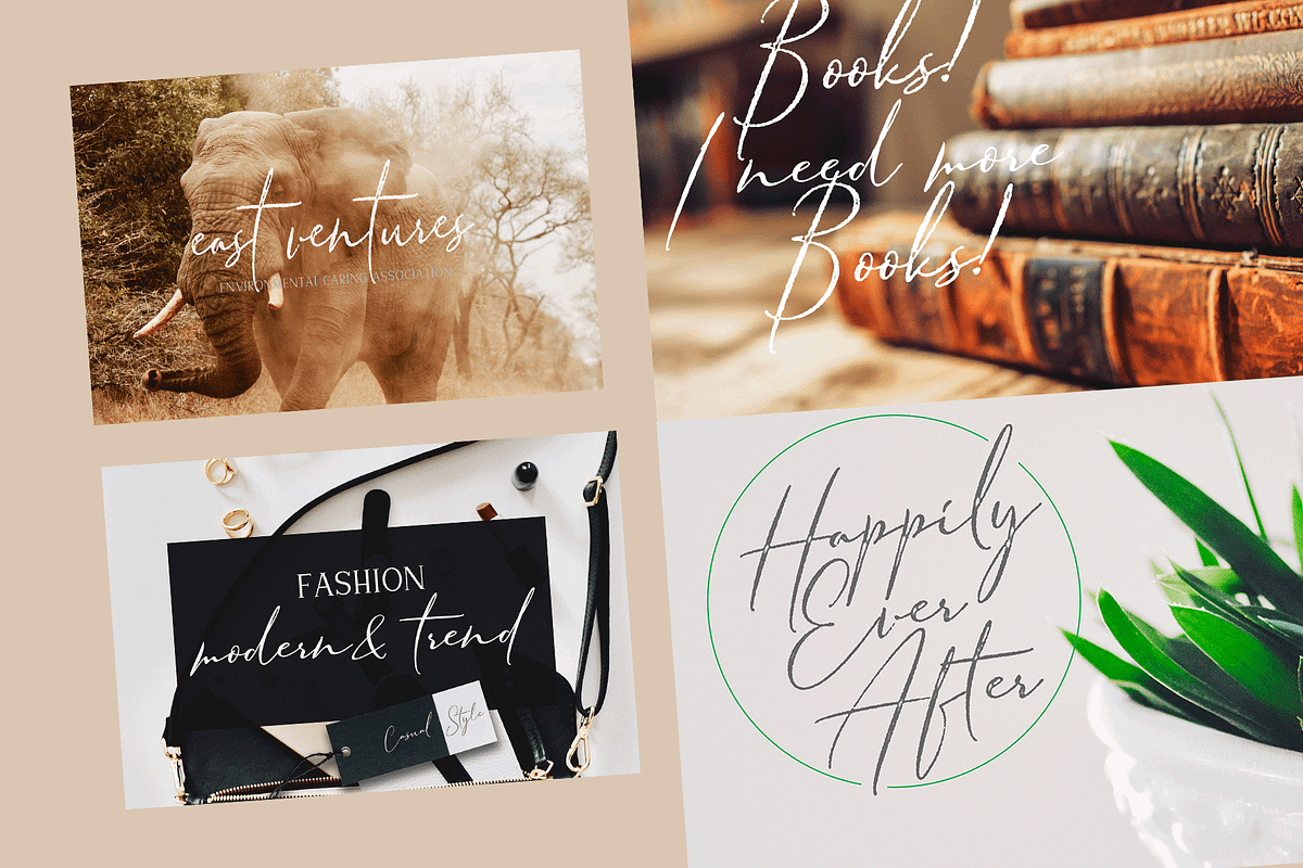 Calligraphy Special Bundle preview 4
