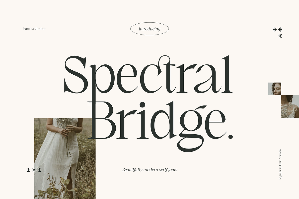 Spectral Bridge - Modern Serif, a Serif Font by Namara Creative Studio (Photo 1 of 14)