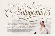 Dove and Goose Typeface, a Serif Font by alit design (Thumbnail 18 of 20)