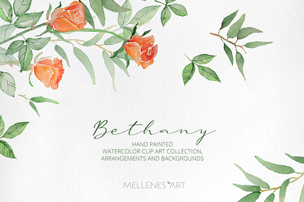 Watercolor orange rose clipart