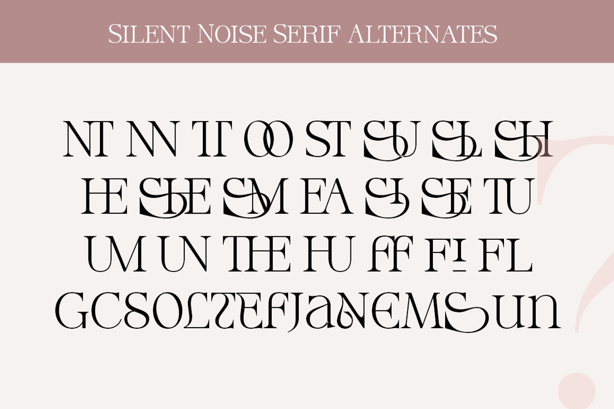 Silent Noise// Modern Font Duo, a Serif Font by Dora Typefoundry (Photo 12 of 12)