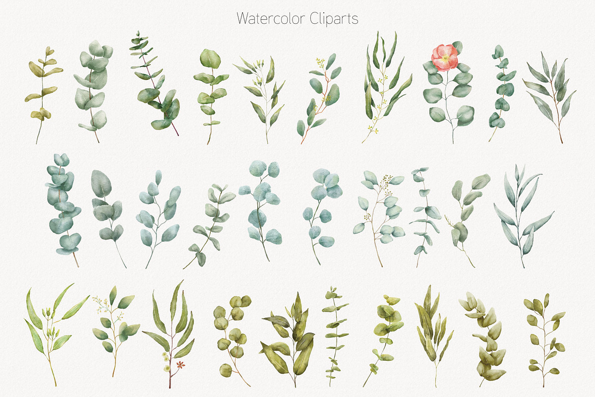 Eucalyptus Line Art And Watercolor, a Decorative Illustration by ElenaPlatovaArt (Photo 3 of 10)