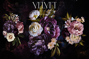 Velvet Peony Moody Floral Graphics, an Object Illustration by Eclectic Anthology (Thumbnail 3 of 16)