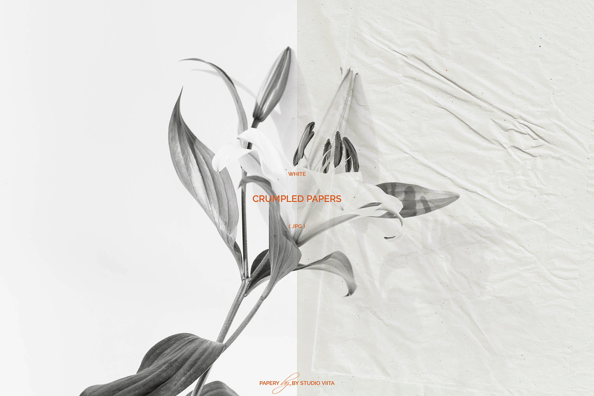 White Crumpled Paper Textures | JPG, a Texture Graphic by Studio Viita (Photo 5 of 9)
