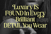 The Daily Midtones Decorative Serif, a Serif Font by AmorfaType (Thumbnail 3 of 8)
