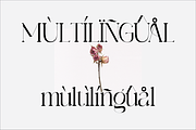 Archare, a Serif Font by Muksal Creative (Thumbnail 5 of 8)