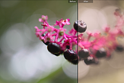 Dream World Lightroom Presets preview 3