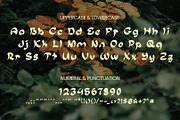 Torumi Asian Brush Style Typeface, a Handwritten Font by ArtiXLabs (Thumbnail 9 of 10)