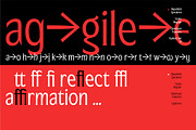 Republish Variable Font, a Serif Font by Abda Laka (Thumbnail 7 of 21)