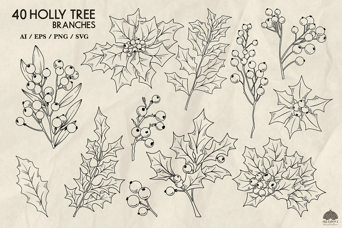 Holly leaves Christmas line drawing