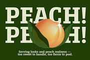 Serifnova, a Serif Font by graphicook (Thumbnail 7 of 10)